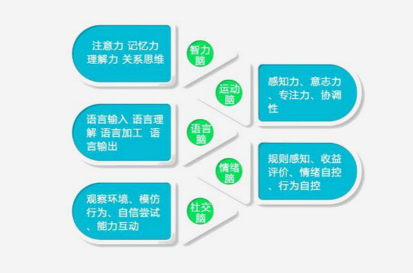 自閉癥治療方法ABA會被認知神經(jīng)科學(xué)替代嗎？