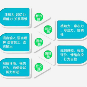 自閉癥治療方法ABA會(huì)被認(rèn)知神經(jīng)科學(xué)替代嗎？