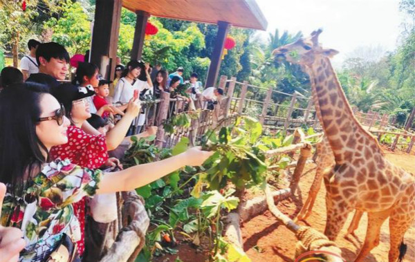 征集10組家庭，與自閉癥家庭共赴海南熱帶野生動植物園活動！