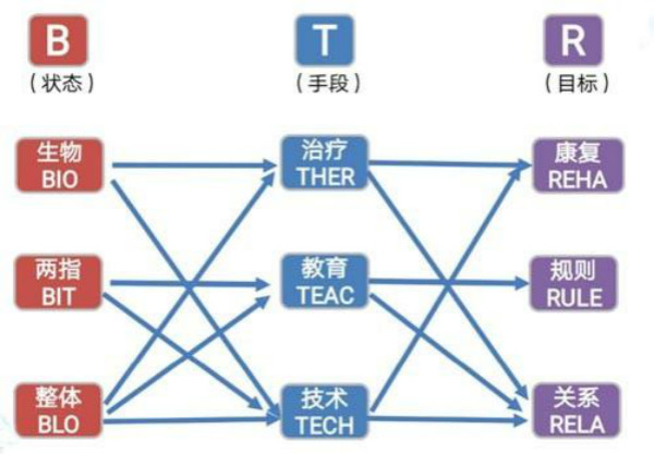 自閉癥康復(fù)訓(xùn)練應(yīng)拒絕“填鴨式”干預(yù)，或可引入BTR策略