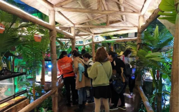 南昌自閉癥兒童走進Minizoo室內萌寵樂園