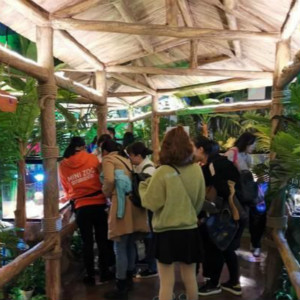 南昌自閉癥兒童走進Minizoo室內(nèi)萌寵樂園