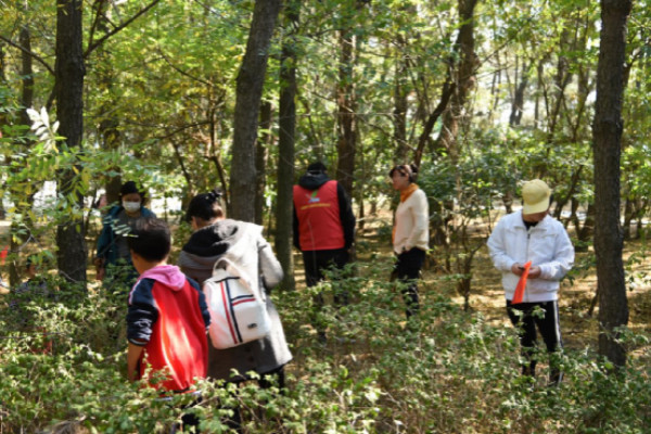 威海愛心人士開展自閉癥兒童融合活動，感受秋天的美麗